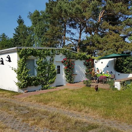 Ferienhaeuschen Villa Борн Екстериор снимка