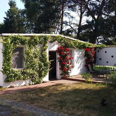 Ferienhaeuschen Villa Борн Екстериор снимка