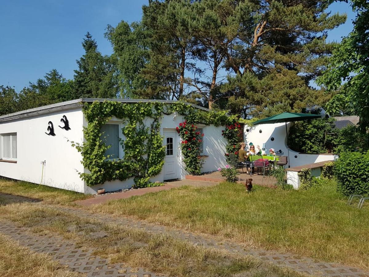 Ferienhaeuschen Villa Борн Екстериор снимка