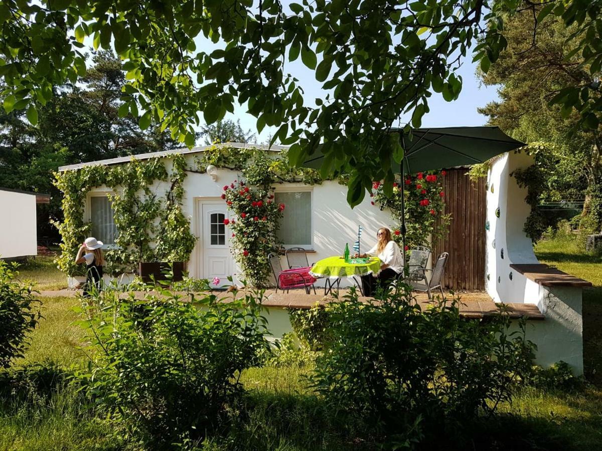 Ferienhaeuschen Villa Борн Екстериор снимка