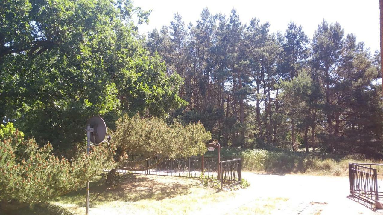 Ferienhaeuschen Villa Борн Екстериор снимка