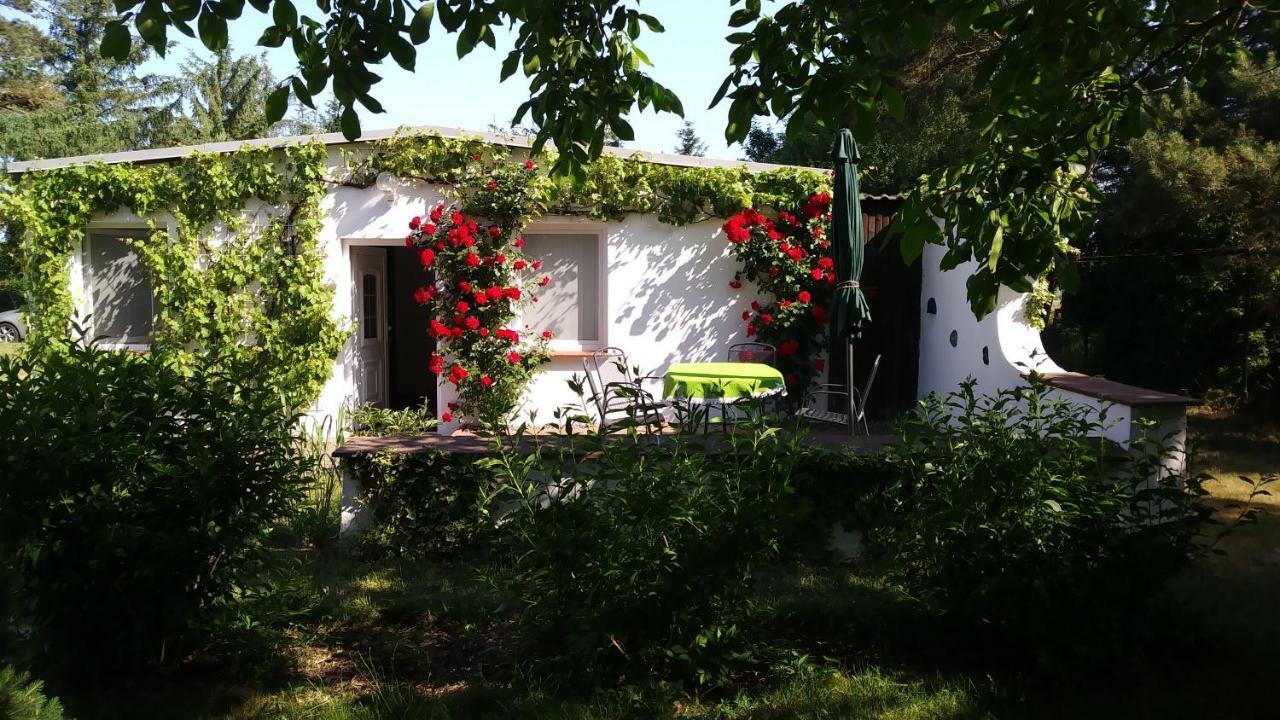 Ferienhaeuschen Villa Борн Екстериор снимка