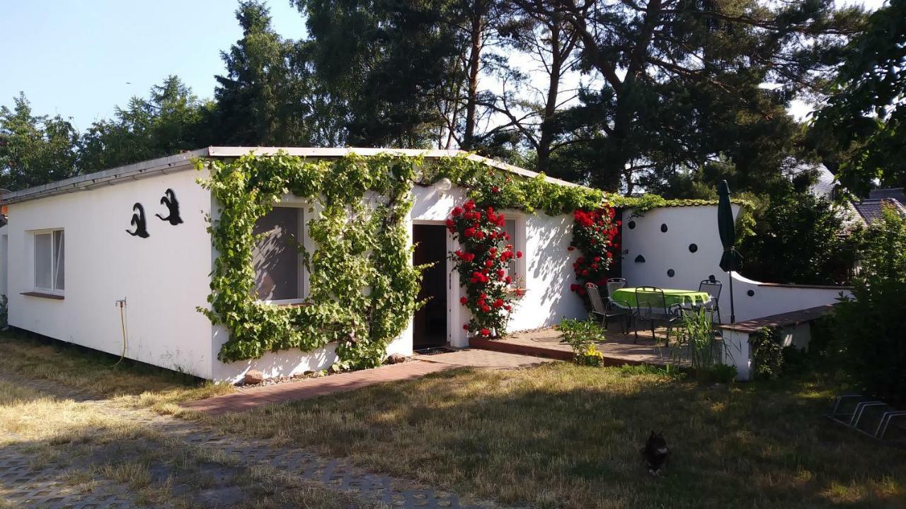 Ferienhaeuschen Villa Борн Екстериор снимка